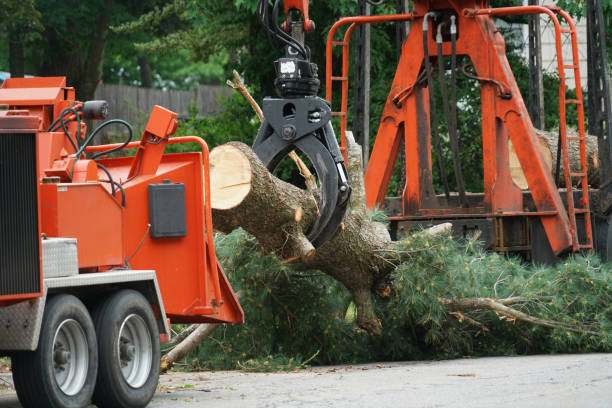 Mulching Services in Chepachet, RI