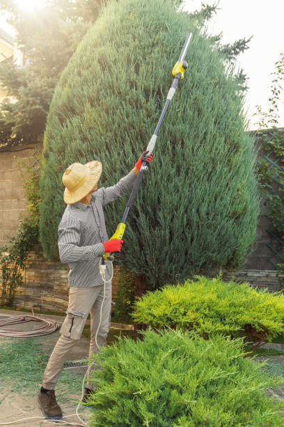 Lawn Watering Services in Chepachet, RI